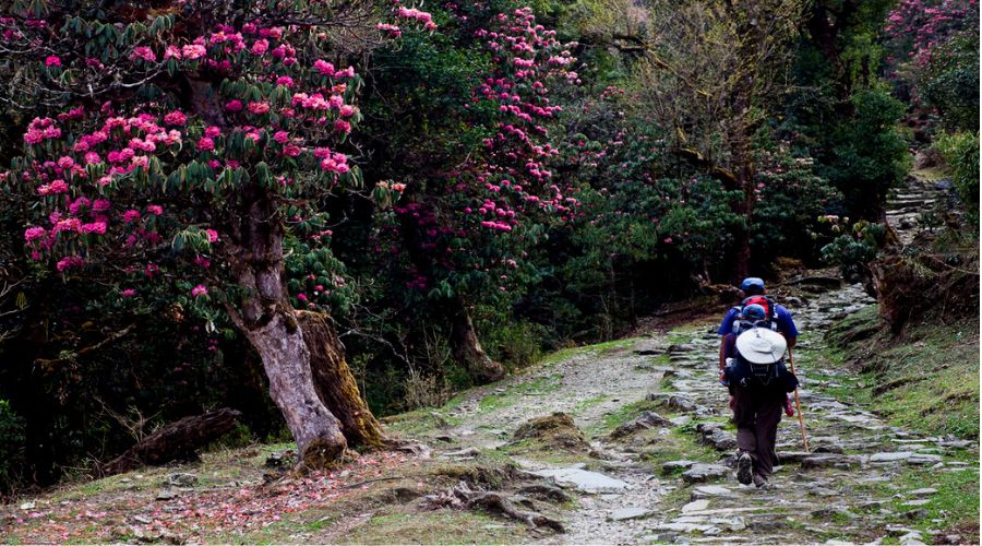 Trekking trail to dudhkunda lake | Berg Reisen Nepal Pvt. Ltd. 